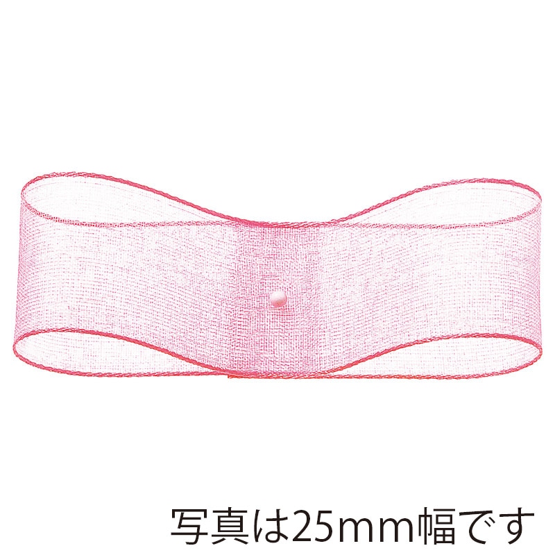 東京リボン リボン エッジドオーガンジー 31600 12×30 #69 1巻(ご注文単位1巻)【直送品】