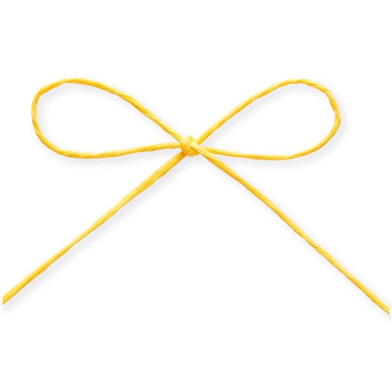 東京リボン コード　パピエール　46711 1×130 #2　プランタンイエロー 1巻（ご注文単位1巻）【直送品】