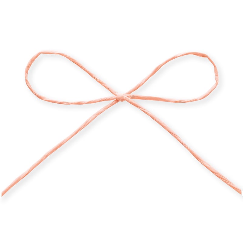 東京リボン コード　パピエール　46711 1×130 #6　ピーチピンク 1巻（ご注文単位1巻）【直送品】