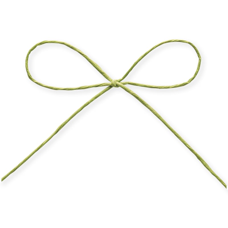 東京リボン コード　パピエール　46711 1×130 #29　ピスタチオグリーン 1巻（ご注文単位1巻）【直送品】