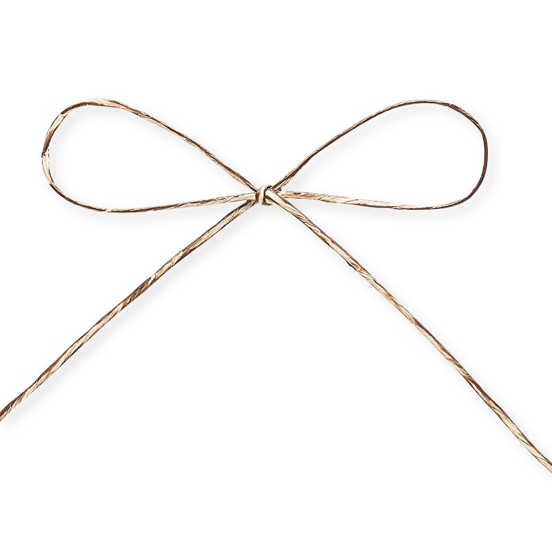 東京リボン コード　パピエール・シック　46712 1×75 #104　ブラウン 1巻（ご注文単位1巻）【直送品】