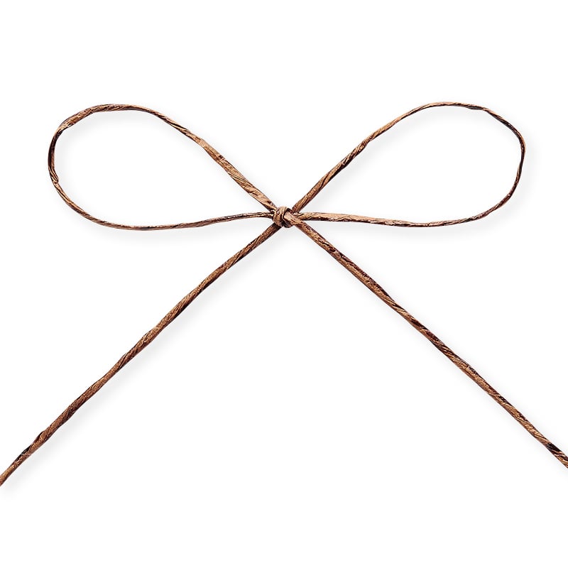 東京リボン コード　パピエール・シック　46712 1×75 #105　シナモンブラウン 1巻（ご注文単位1巻）【直送品】