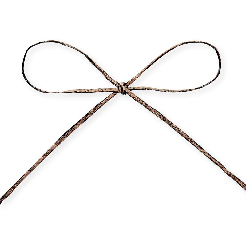 東京リボン コード　パピエール・シック　46712 1×75 #110　ダークブラウン 1巻（ご注文単位1巻）【直送品】