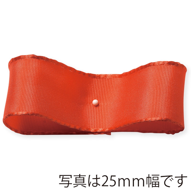 東京リボン ワイヤー入リボン SUアトリエ 48832 60×25 #55 1巻(ご注文単位1巻)【直送品】
