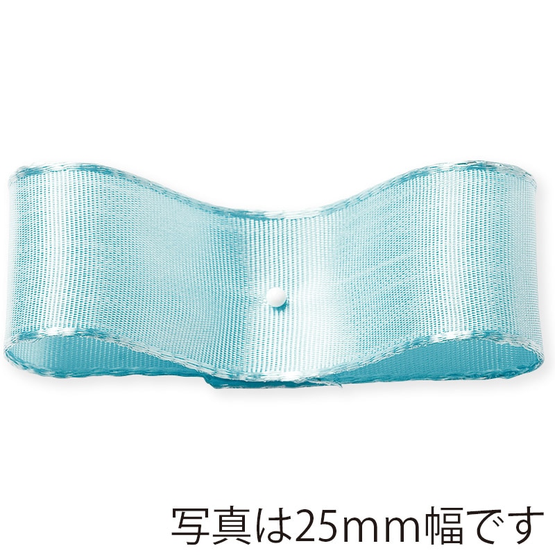 東京リボン ワイヤー入リボン SUアトリエ 48832 60×25 #172 1巻(ご注文単位1巻)【直送品】