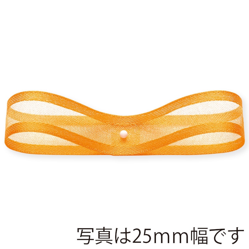 東京リボン リボン　ボールドエッジ　48834 25×25 #120 1巻（ご注文単位1巻）【直送品】