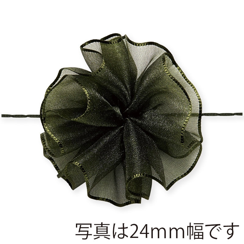 東京リボン リボン ワンタッチソフトオーガンジー 44200 24×10 #59 シブレグリーン 1巻(ご注文単位1巻)【直送品】