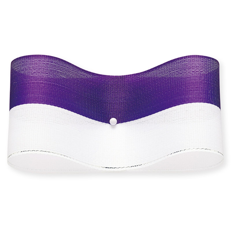 東京リボン リボン　振分けリボン　ラメライン　48106 38×20 #2　ムラサキ／シロ 1巻（ご注文単位1巻）【直送品】