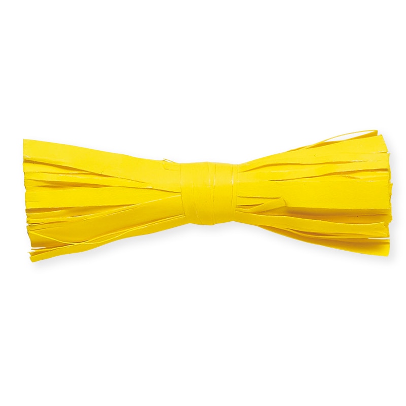 東京リボン コード　スプラコード　45603 200m #22 1巻（ご注文単位1巻）【直送品】