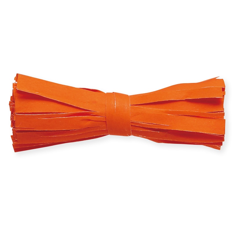 東京リボン コード　スプラコード　45603 200m #31 1巻（ご注文単位1巻）【直送品】