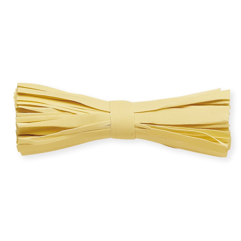 東京リボン コード　スプラコード　45603 200m #161 1巻（ご注文単位1巻）【直送品】