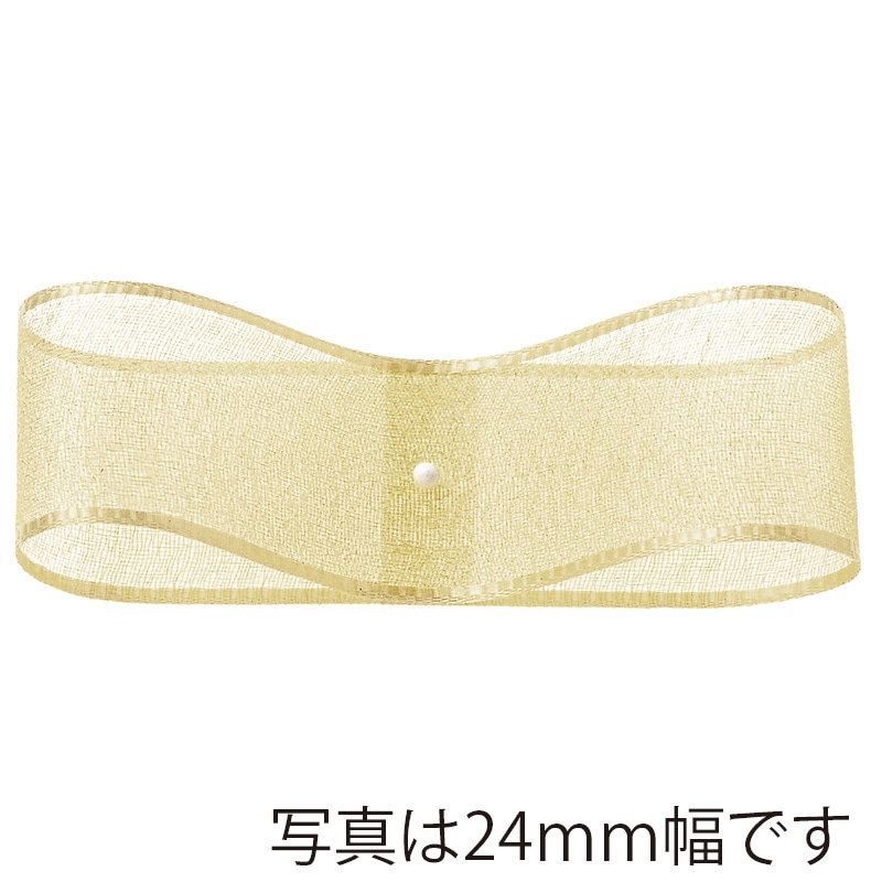 東京リボン リボン オーガンジー・H 47700 12×30 #24 1個(ご注文単位1個)【直送品】