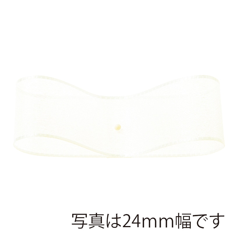 東京リボン リボン オーガンジー・H 47700 12×30 #56 1個(ご注文単位1個)【直送品】