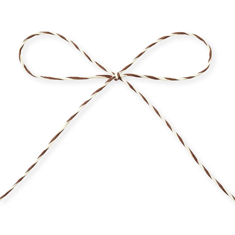 東京リボン コード　パピエール・デュオ　46722 1.5φ×75 #125 1巻（ご注文単位1巻）【直送品】