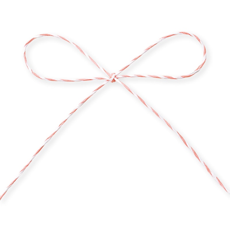 東京リボン コード　パピエール・デュオ　46722 1.5φ×75 #160 1巻（ご注文単位1巻）【直送品】