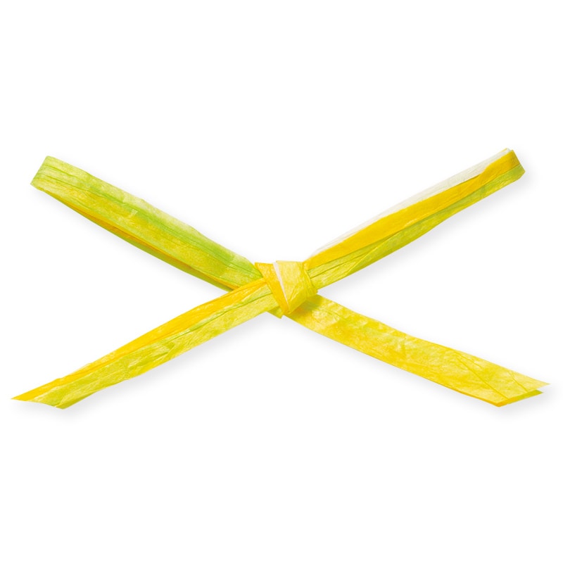 東京リボン コード　ペーパーラフィア・キャトル　46801 5×91 #3 1巻（ご注文単位1巻）【直送品】