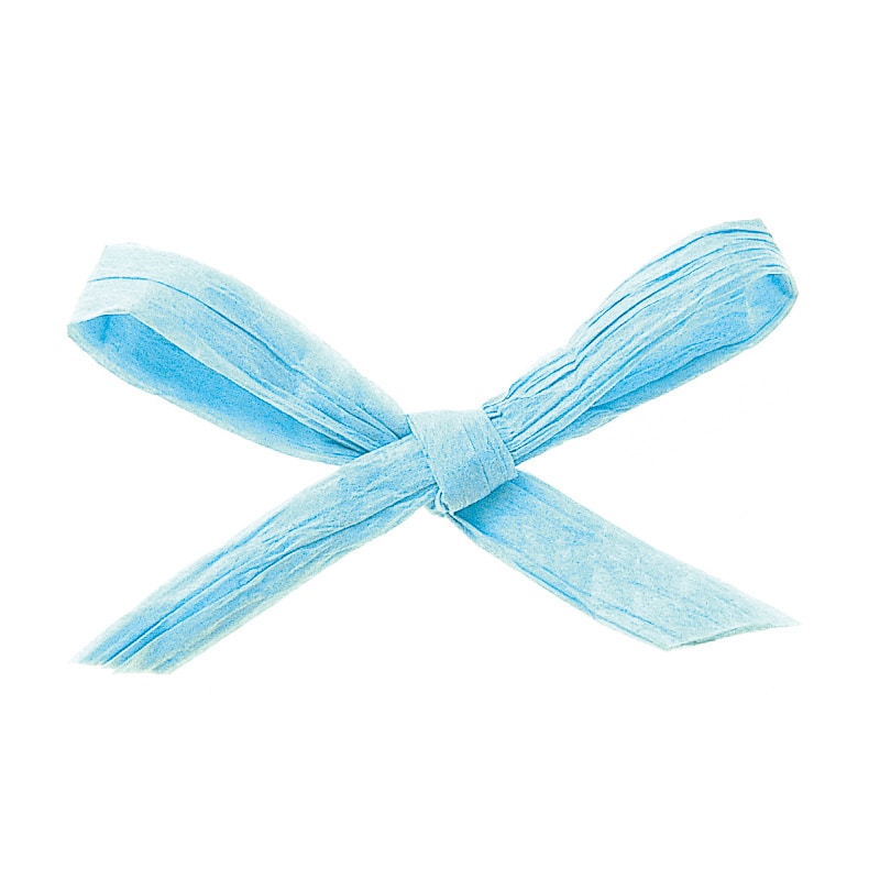 東京リボン コード　ペーパーラフィア2　46401　5×91 #21　1巻（ご注文単位1巻）【直送品】