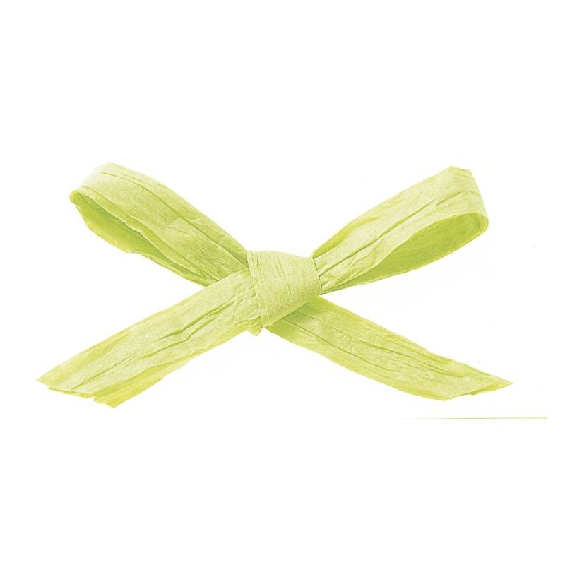 東京リボン コード　ペーパーラフィア2　46401　5×91 #23　1巻（ご注文単位1巻）【直送品】