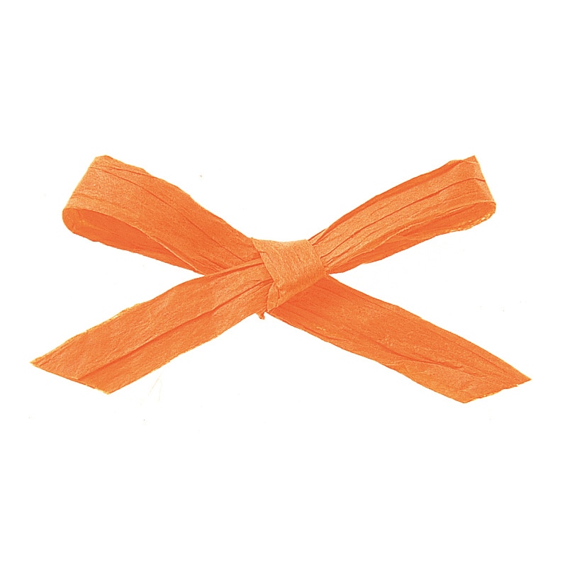 東京リボン コード　ペーパーラフィア2　46401　5×91 #28　1巻（ご注文単位1巻）【直送品】