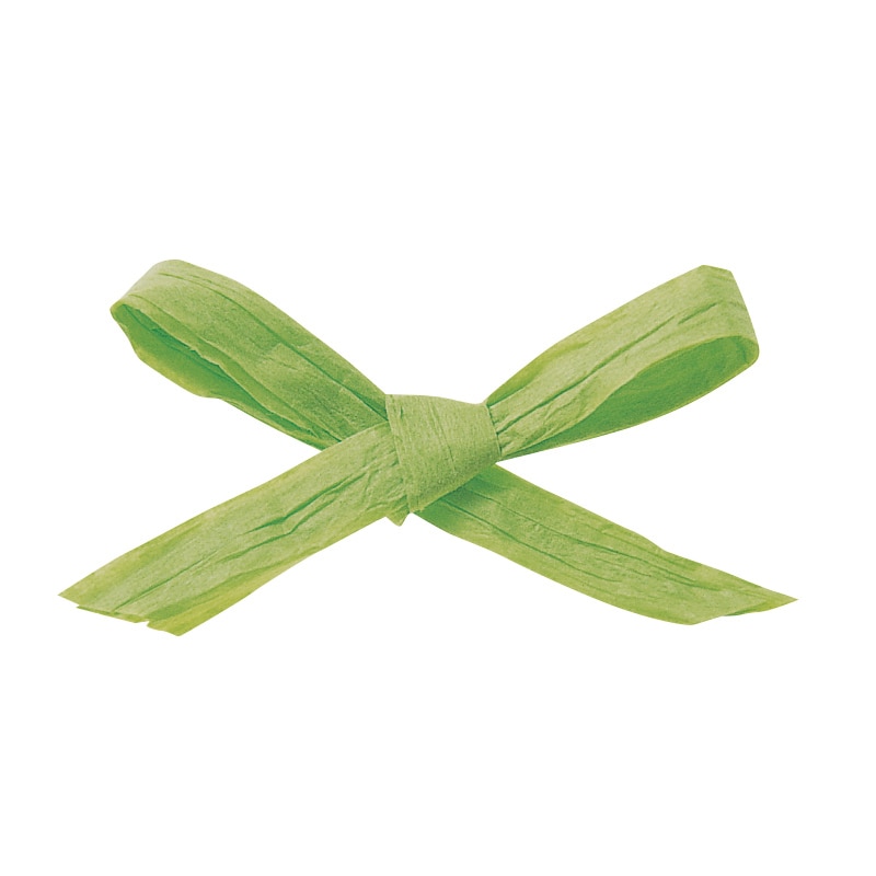 東京リボン コード　ペーパーラフィア2　46401　5×91 #41　1巻（ご注文単位1巻）【直送品】