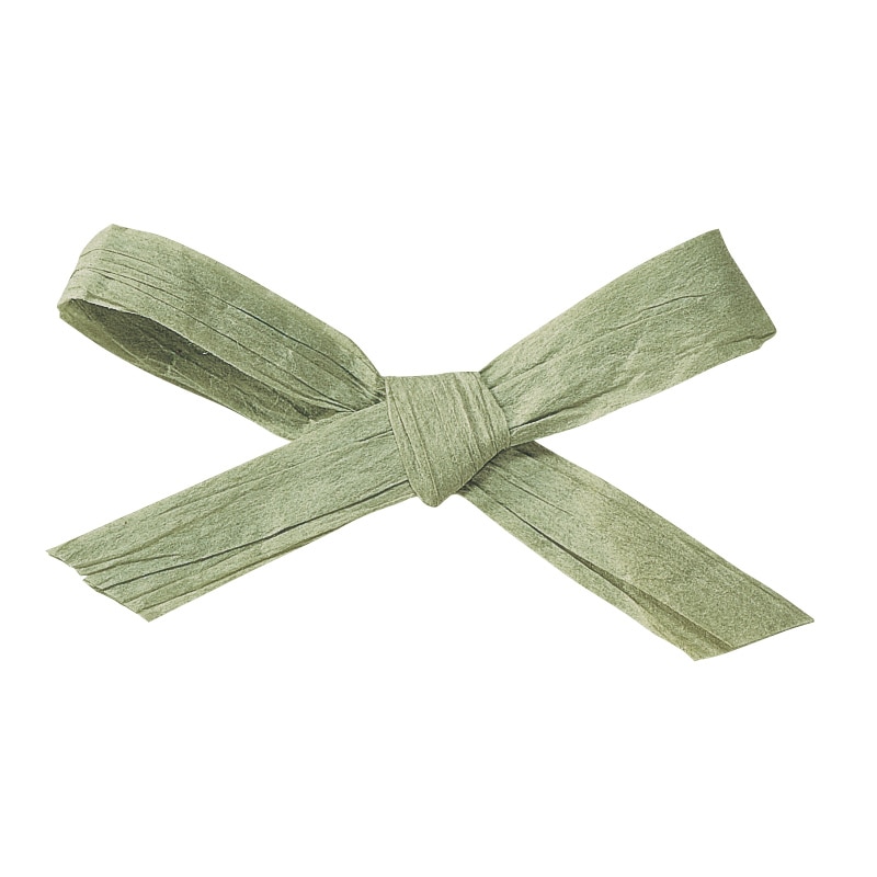 東京リボン コード　ペーパーラフィア2　46401　5×91 #49　1巻（ご注文単位1巻）【直送品】