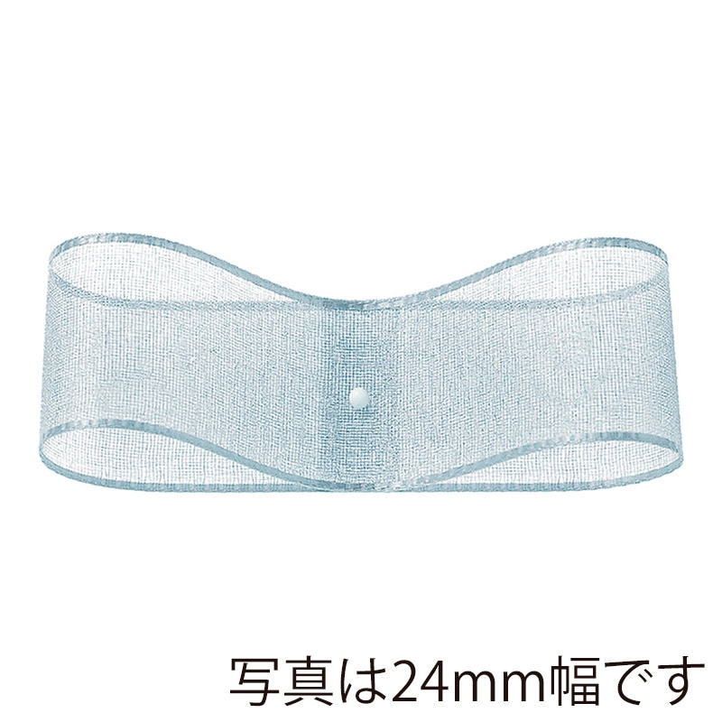東京リボン リボン オーガンジーH 47700 12×30 #75 1巻(ご注文単位1巻)【直送品】