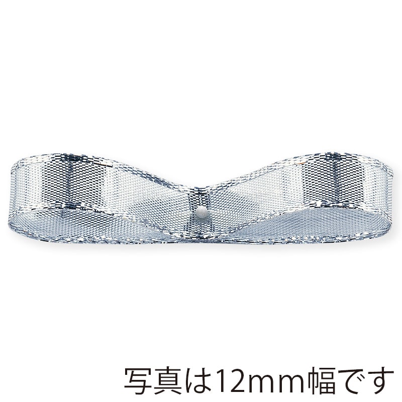 東京リボン ワイヤー入リボン　SUメタリック　43910 18×9 #2 1巻（ご注文単位1巻）【直送品】