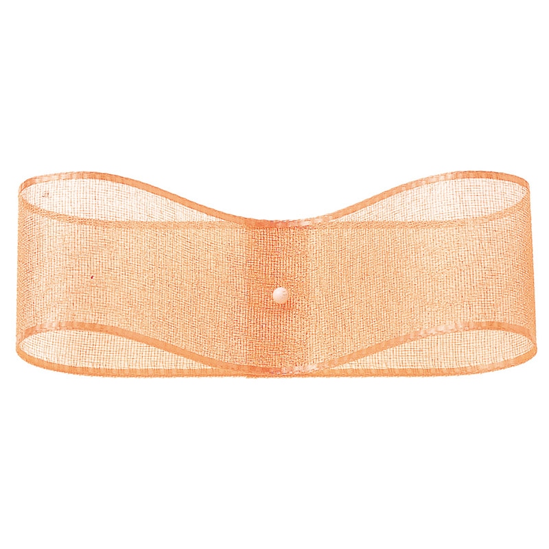 東京リボン リボン　オーガンジー・H　47800 24×30 #8 1巻（ご注文単位1巻）【直送品】