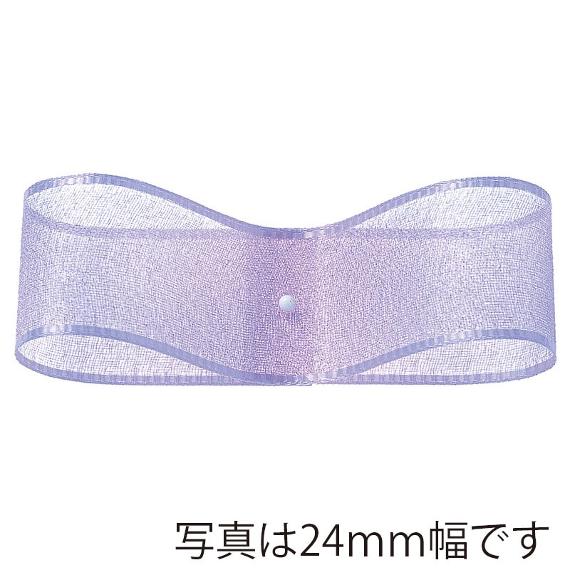 東京リボン リボン オーガンジー・H 47900 36×30 #19 1巻(ご注文単位1巻)【直送品】