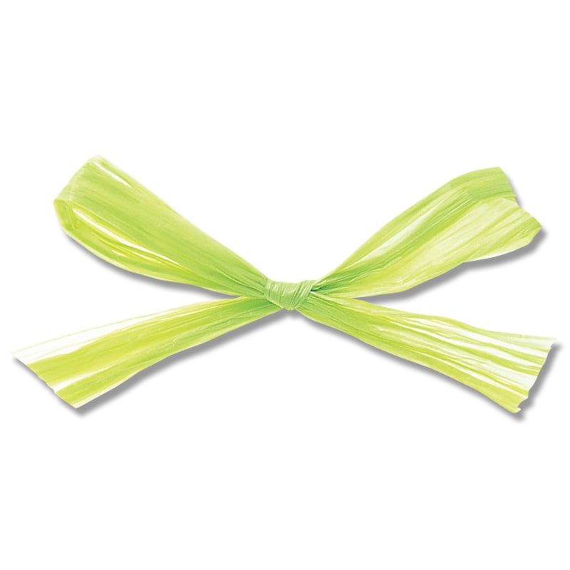 東京リボン 48000　ラフィットヤーン 91m巻 #27　アップルグリーン　1巻（ご注文単位1巻）【直送品】