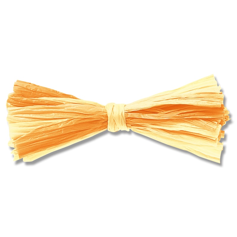 東京リボン 48100　ラフィットカラーズ 91m巻 #2　1巻（ご注文単位1巻）【直送品】