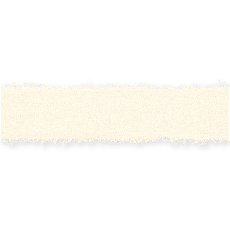 東京リボン リボン　フレッジ・シフォン　50105 30×10 #170 1巻（ご注文単位1巻）【直送品】