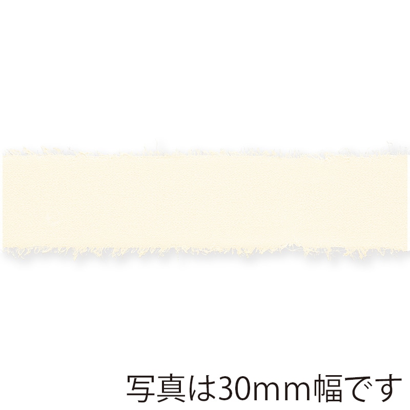 東京リボン リボン　フレッジ・シフォン　50106 50×10 #170 1巻（ご注文単位1巻）【直送品】