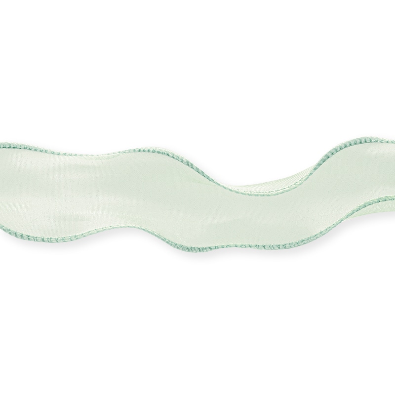 東京リボン リボン　カーリーオーガンジー　50107 40×14 #81 1巻（ご注文単位1巻）【直送品】