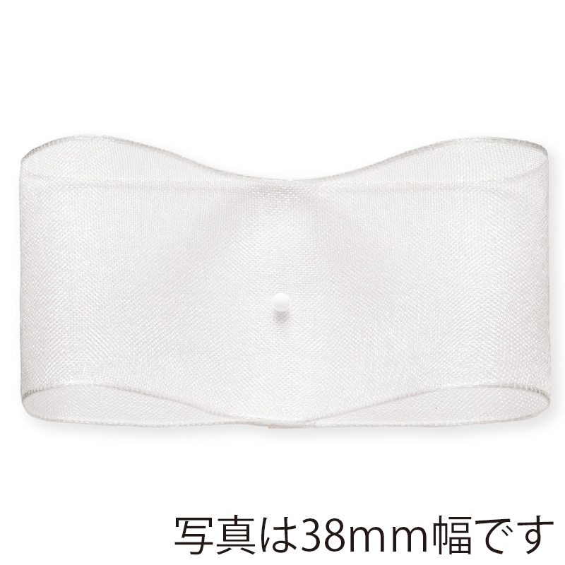 東京リボン ワイヤー入リボンSUプレーンオーガンジー50008 63×15 #1 1巻（ご注文単位1巻）【直送品】