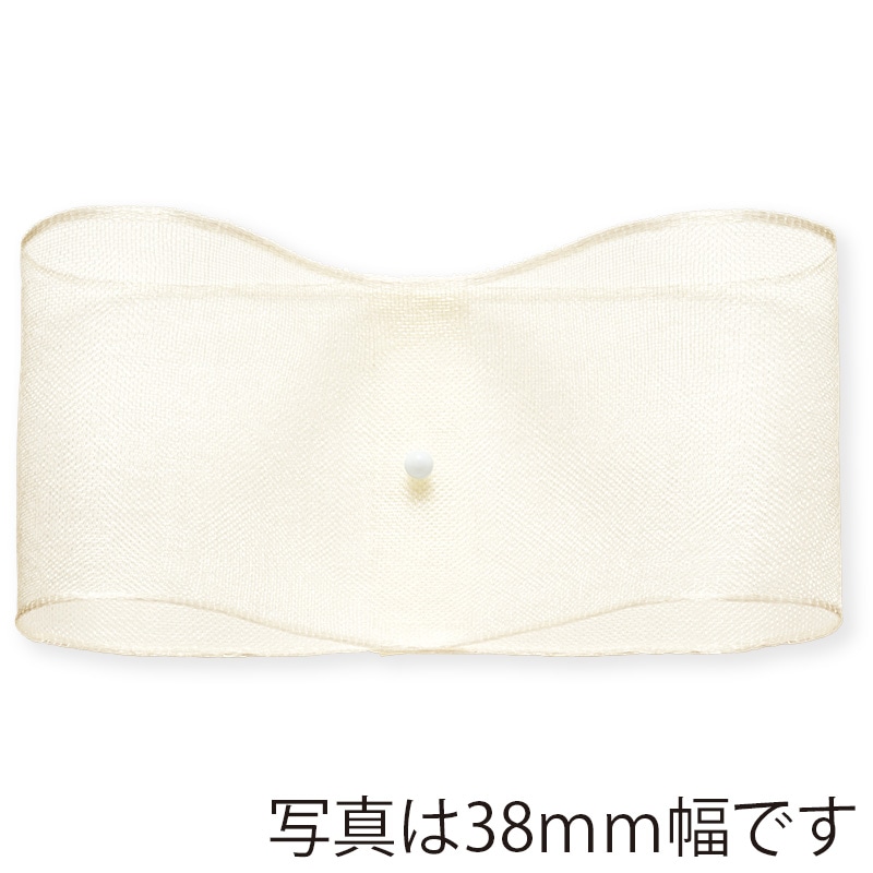 東京リボン ワイヤー入リボンSUプレーンオーガンジー50008 63×15 #56 1巻（ご注文単位1巻）【直送品】