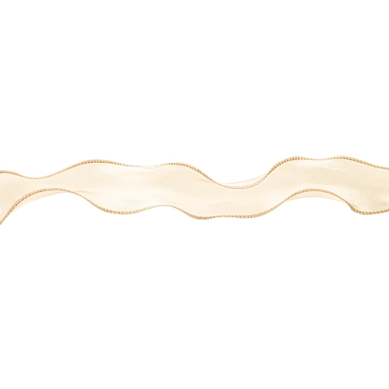 東京リボン リボン　カーリーオーガンジー　50107 40×10 #62　ベージュ 1巻（ご注文単位1巻）【直送品】