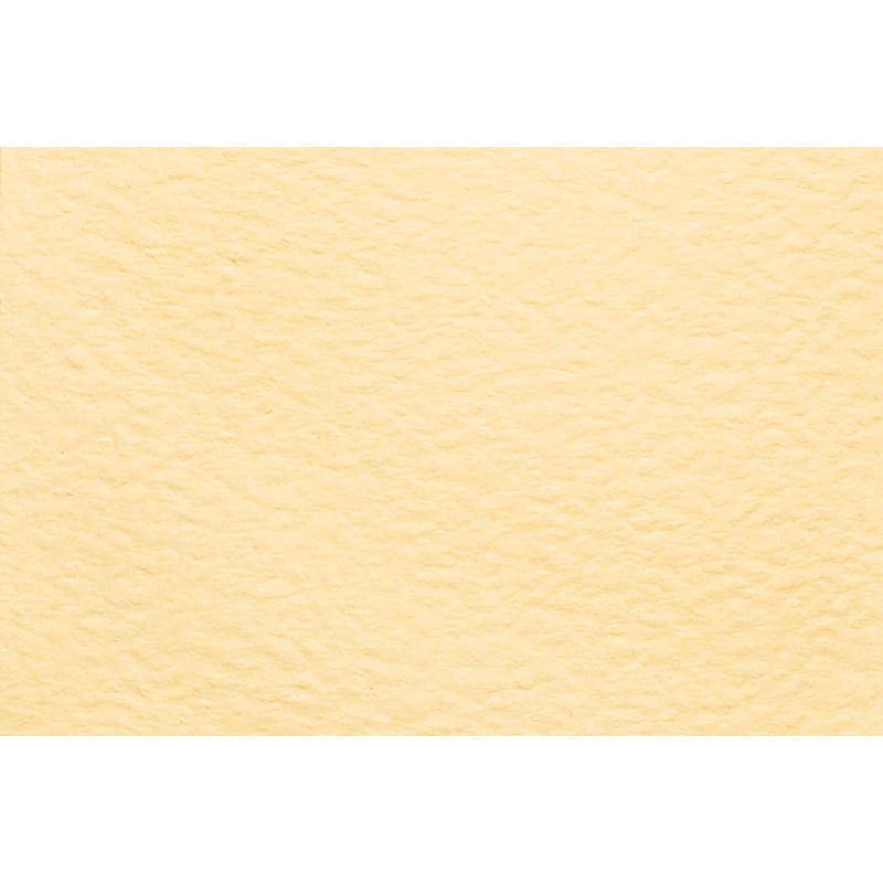 東京リボン カラーカード　プライスカード　82211 M #2 1袋（ご注文単位1袋）【直送品】