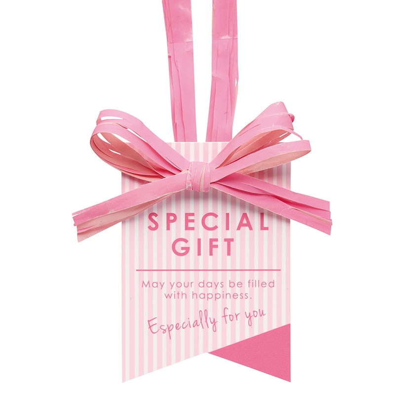 東京リボン ギフトタグ　クイックタグ・スプラ　92826  #2 1束（ご注文単位1束）【直送品】