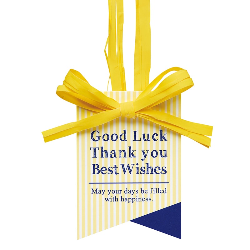 東京リボン ギフトタグ　クイックタグ・スプラ　92826  #3 1束（ご注文単位1束）【直送品】