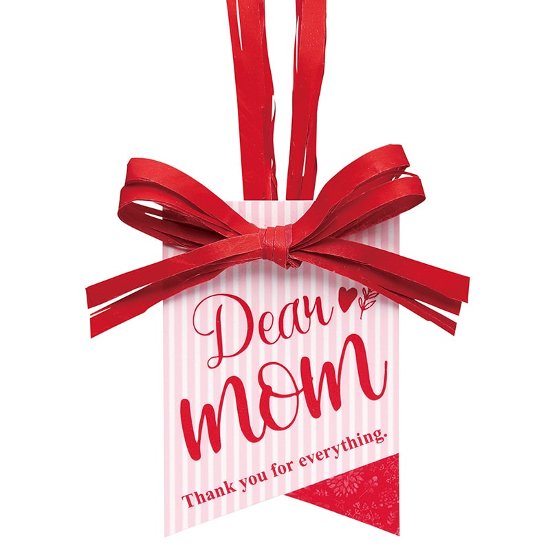 東京リボン ギフトタグ　クイックタグ・スプラ　92826  #5 1束（ご注文単位1束）【直送品】