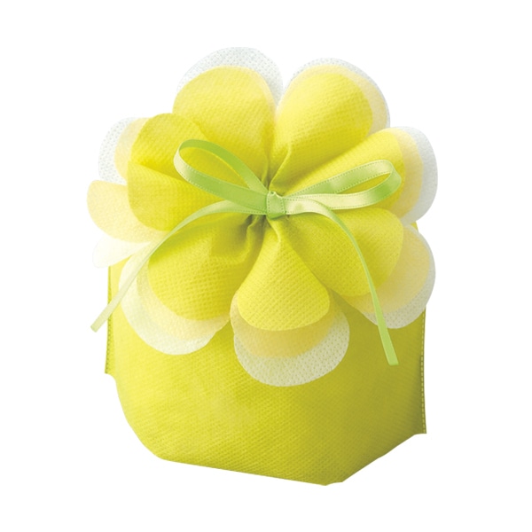 エーワン 不織布袋 ブルーミング巾着 小 マスカットグリーン LP0070NJ00 20枚/束（ご注文単位1束）【直送品】