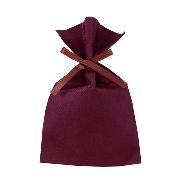 エーワン 不織布平袋 ソフトバッグベーシック 2穴リボン巾着 S3 ボルドー LS0123NC00 50枚/束（ご注文単位1束）【直送品】