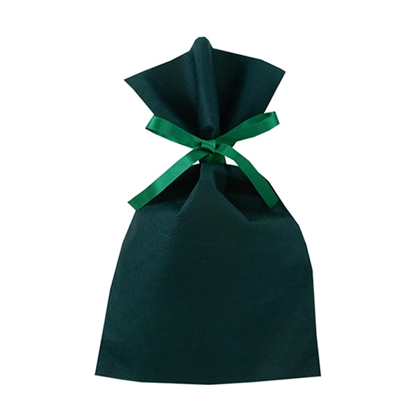 エーワン 不織布平袋 ソフトバッグベーシック 2穴リボン巾着 S3 グリーン LS0123NS00 50枚/束（ご注文単位1束）【直送品】