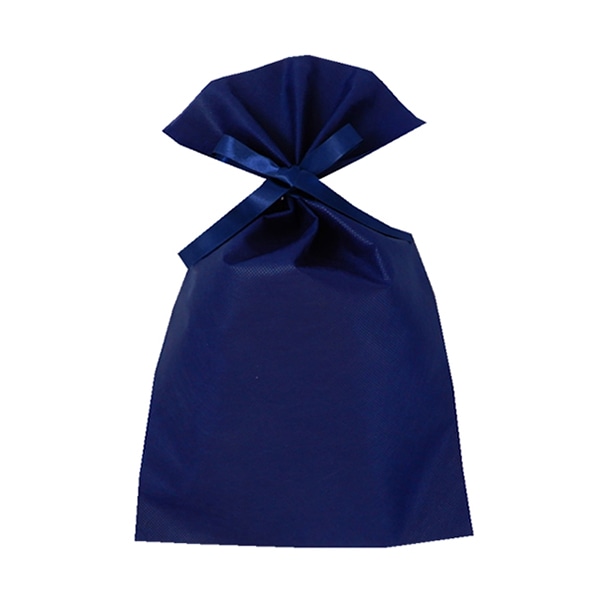 エーワン 不織布平袋 ソフトバッグベーシック 2穴リボン巾着 S5 紺 LS0125NT00 50枚/束（ご注文単位1束）【直送品】