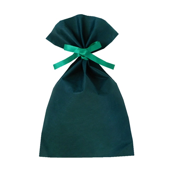 エーワン 不織布平袋 ソフトバッグベーシック 2穴リボン巾着 S5 グリーン LS0125NS00 50枚/束（ご注文単位1束）【直送品】