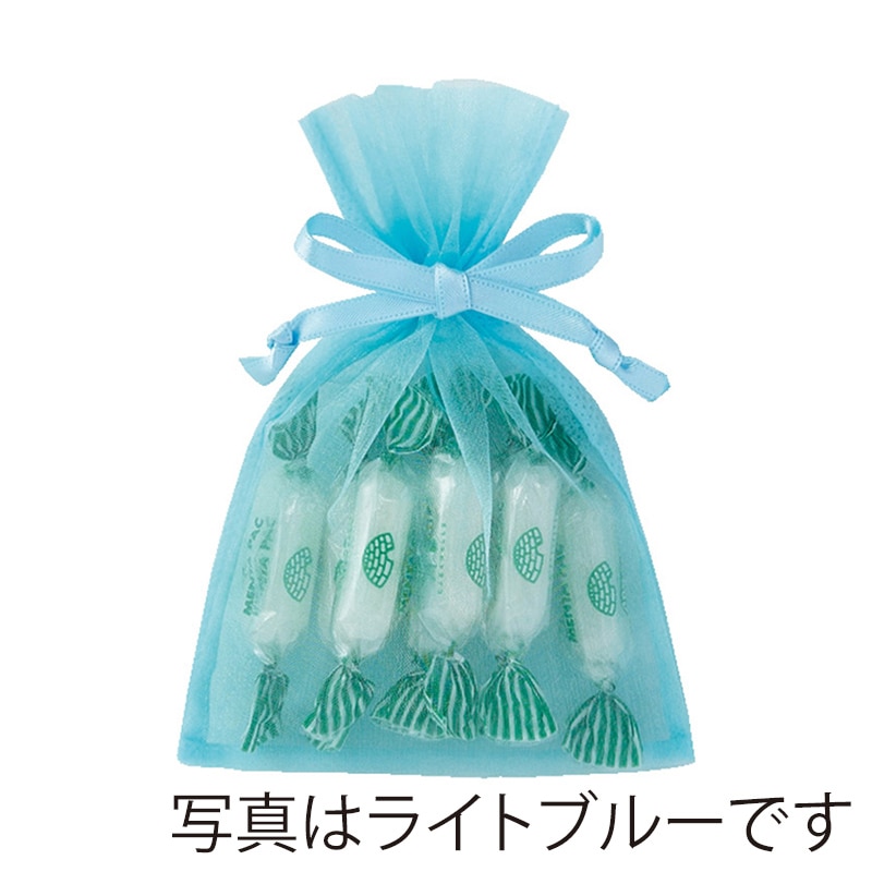 エーワン 不織布平袋 デュオ巾着 S1 白 LS0701AB00 20枚/束(ご注文単位1束)【直送品】