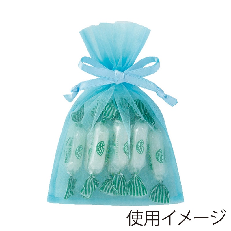 エーワン 不織布平袋 デュオ巾着 S1 ライトブルー LS0701AE00 20枚/束(ご注文単位1束)【直送品】