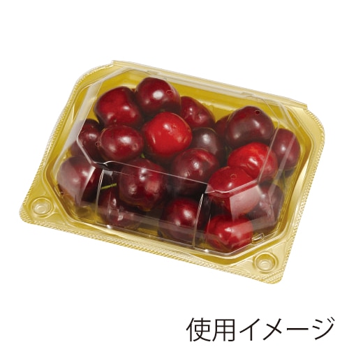 エフピコチューパ 青果物汎用容器　PSクリアルーフM 10H　GLW CP007476 100枚/袋（ご注文単位9袋）【直送品】