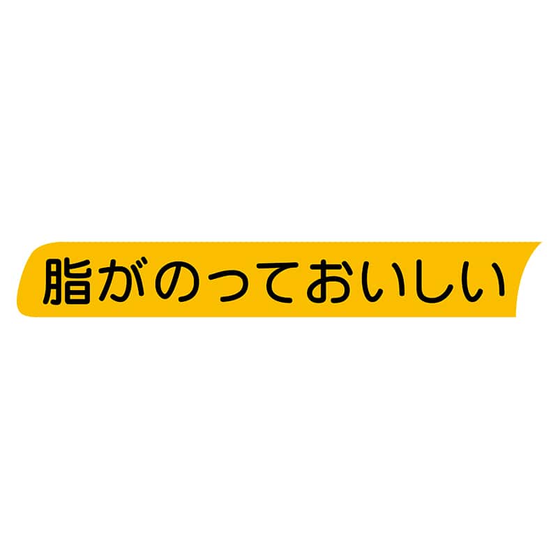 ヒカリ紙工 シール SMラベル 500枚入 イ3981 脂がのっておいしい 1袋(ご注文単位1袋)【直送品】